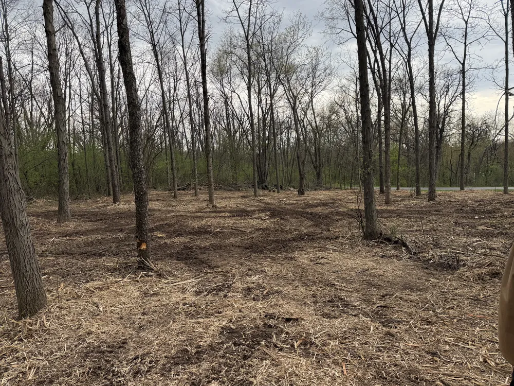 Forestry mulching in progress clearing dense brush in southern Wisconsin