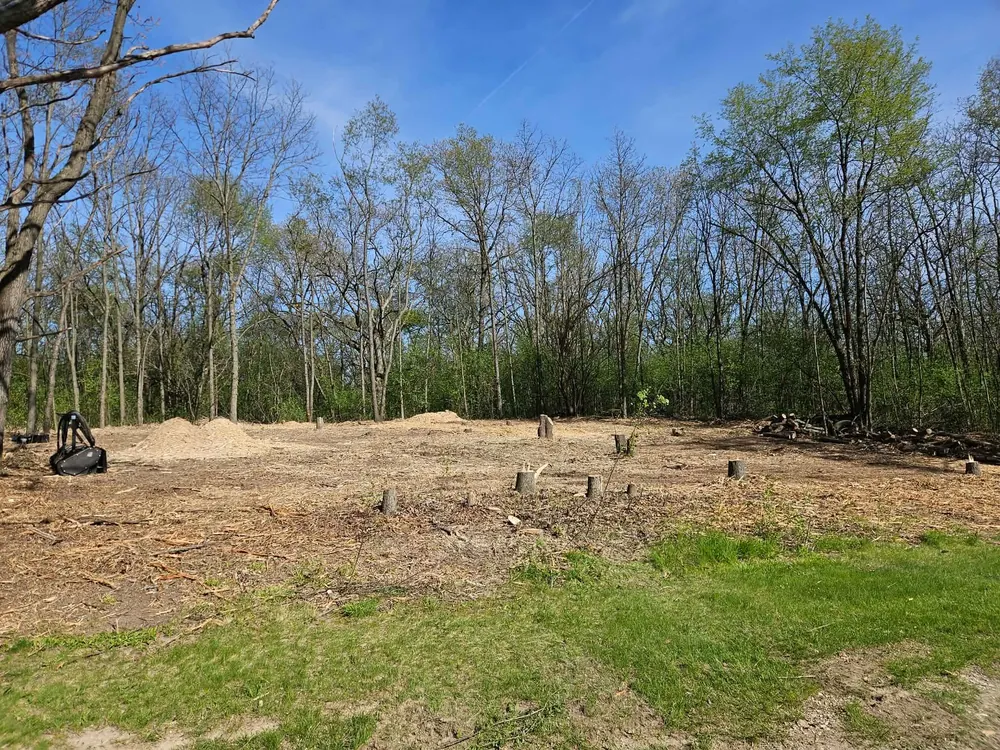 Land left with a clean, nutrient-rich mulch finish after forestry mulching
