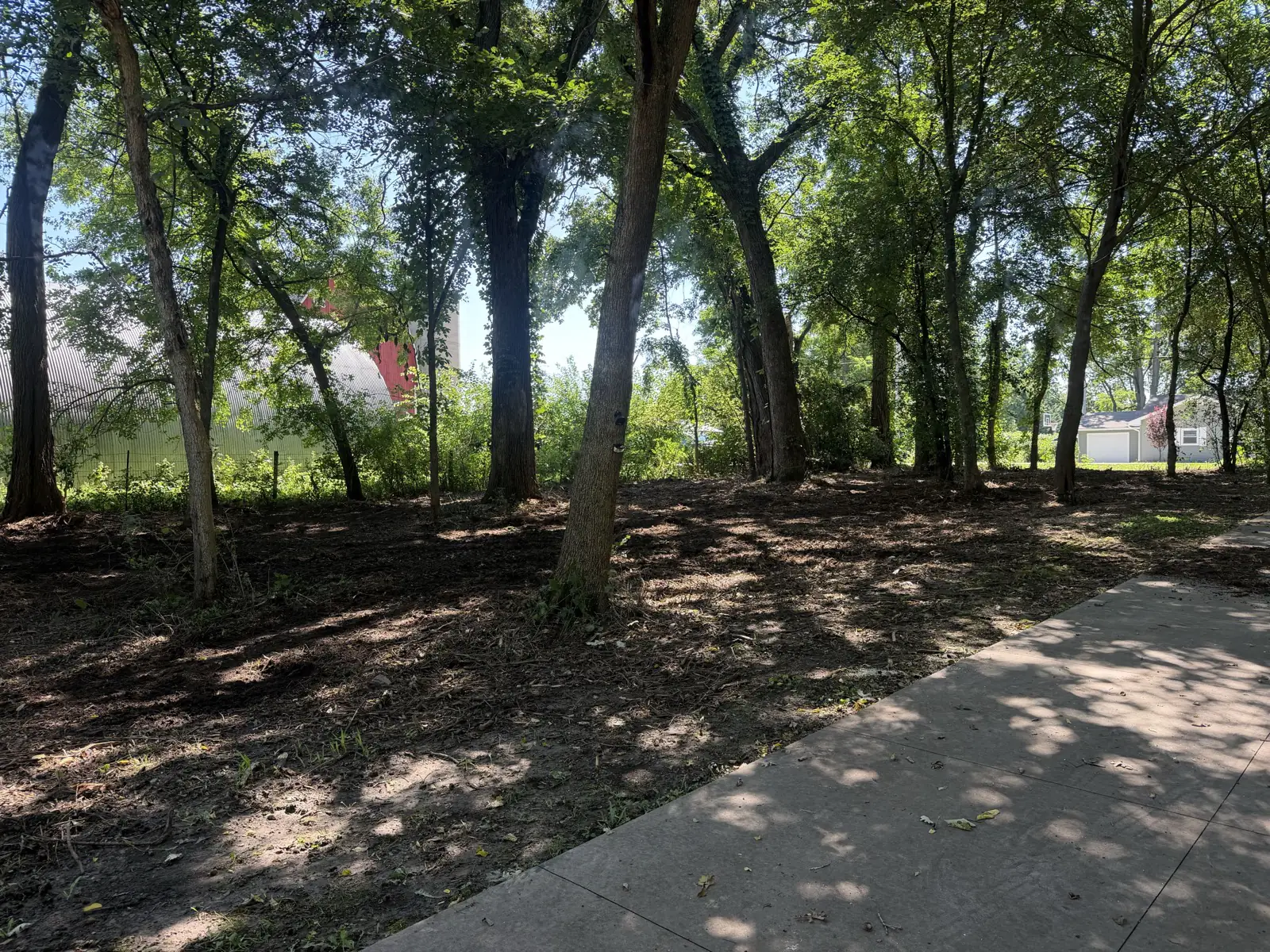 Same wooded lot after forestry mulching, understory cleared and mature trees kept