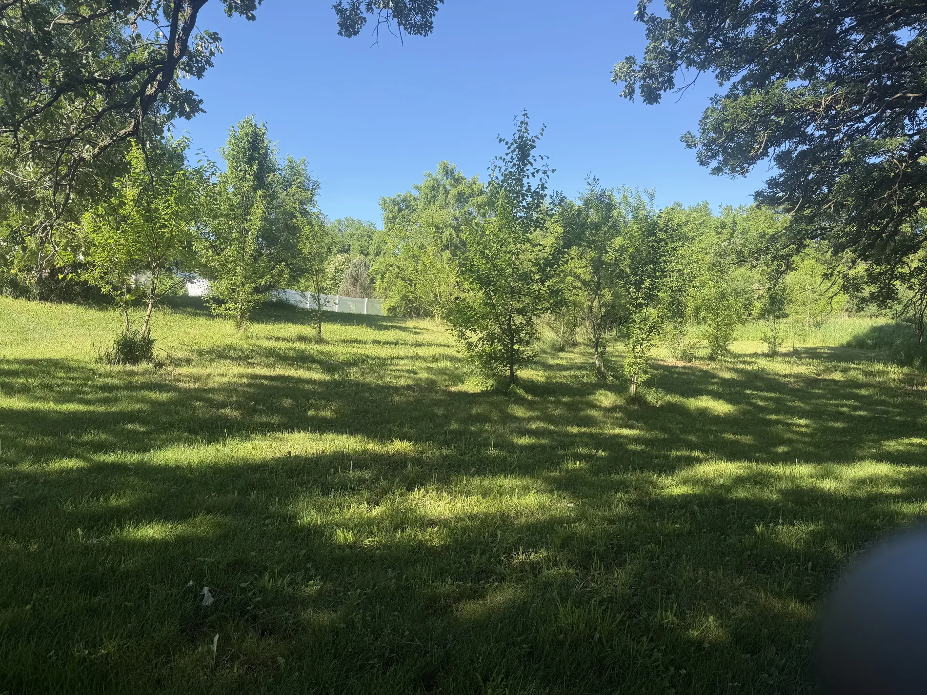 Open, restored green parkland cleared by Proper Grounds in southern Wisconsin