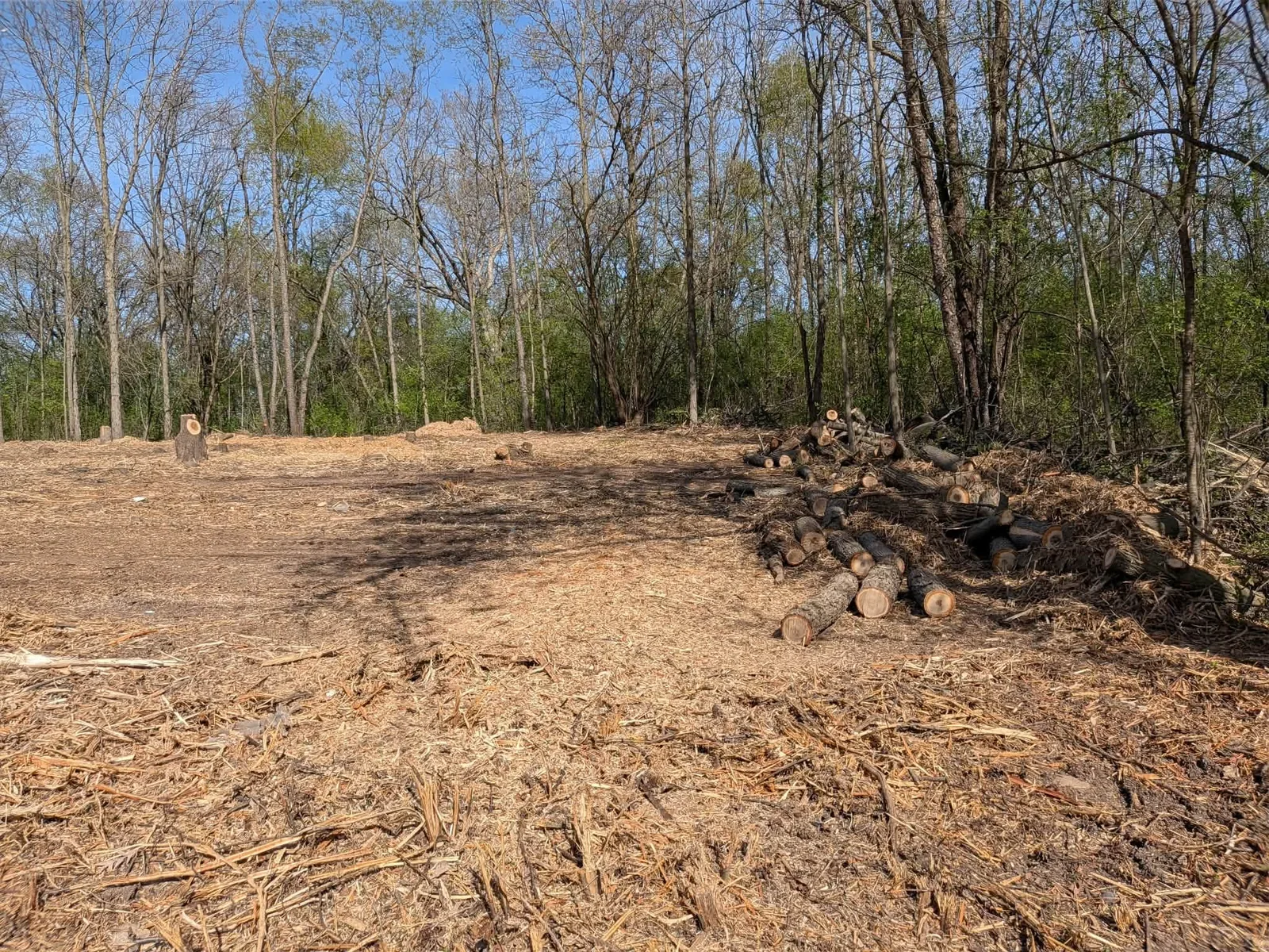 Land Clearing in Whitewater, WI