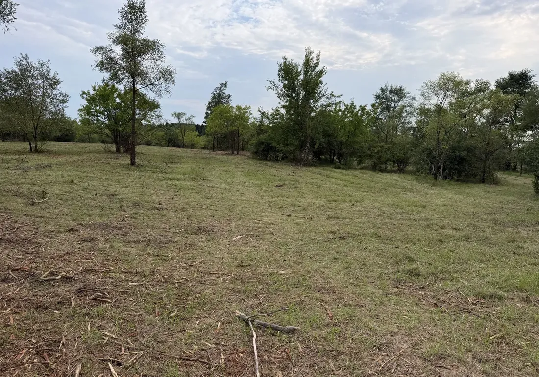 Land Clearing & Forestry Mulching in Delafield, WI