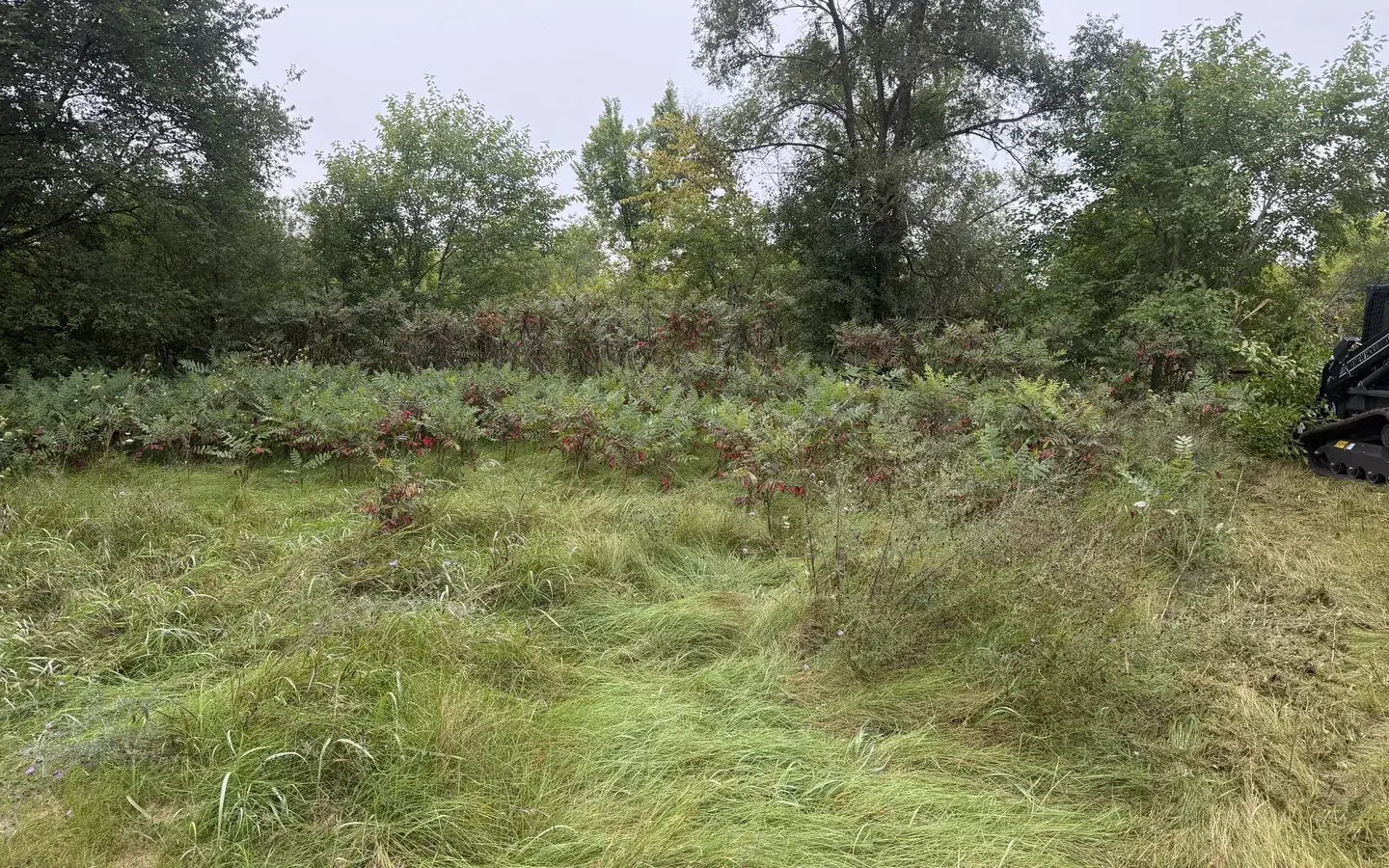 Land Clearing & Forestry Mulching in Genoa City, WI