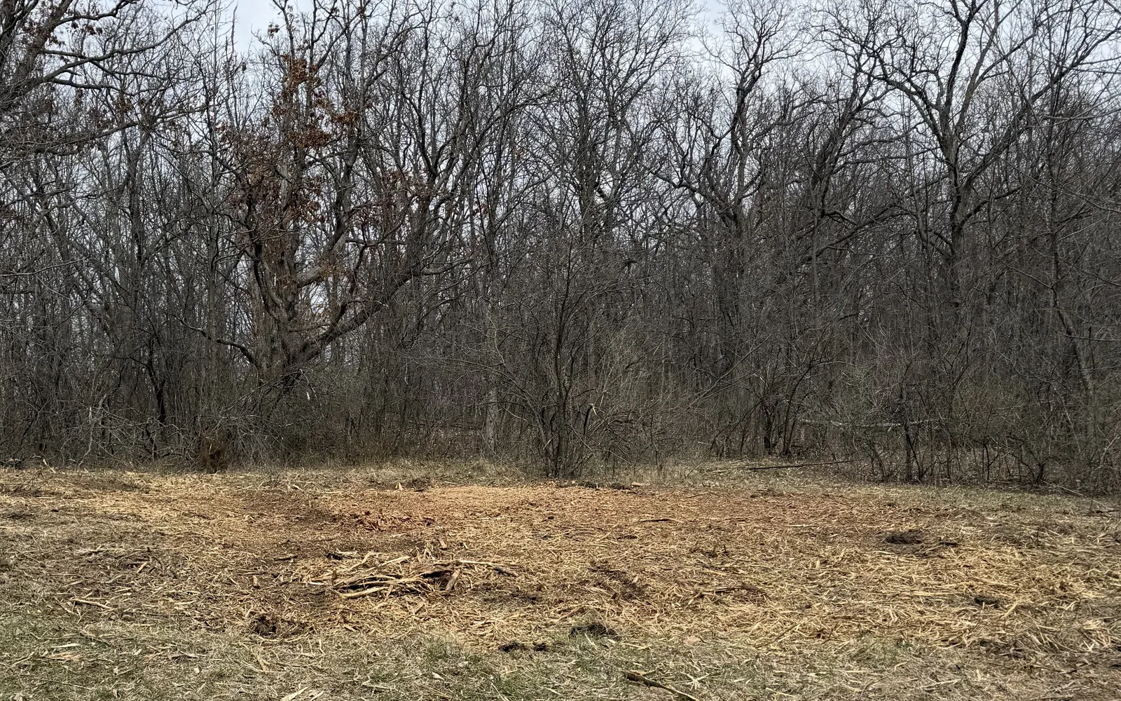 Land Clearing & Forestry Mulching in Rochester, WI