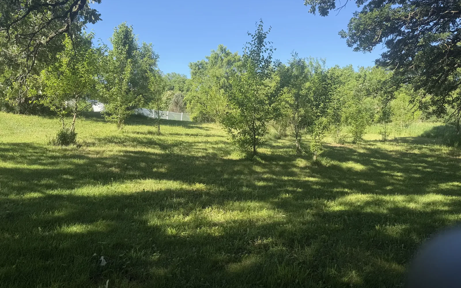 Lawn Mowing in Whitewater, WI