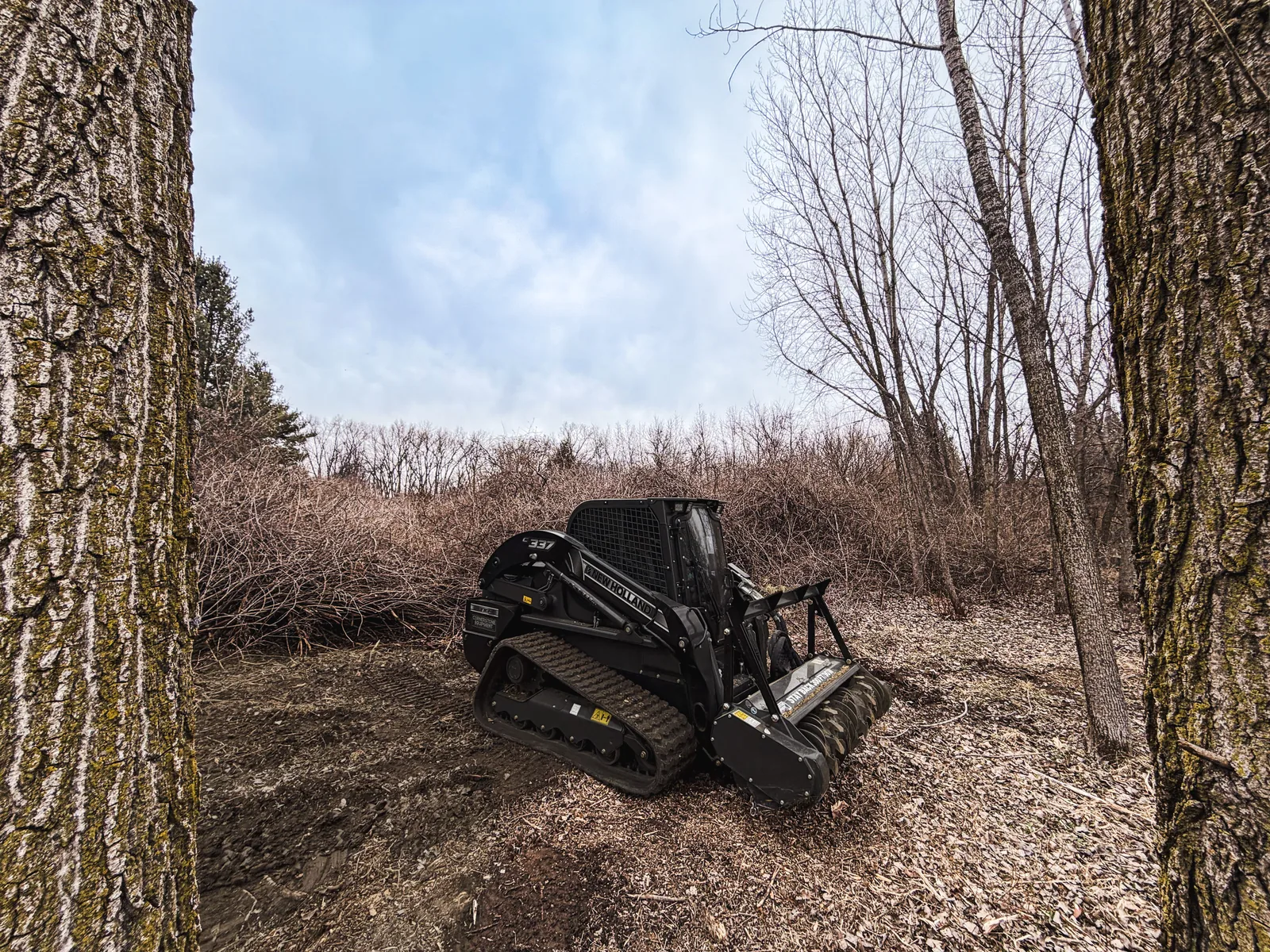 Land Clearing & Land Services in Whitewater, WI
