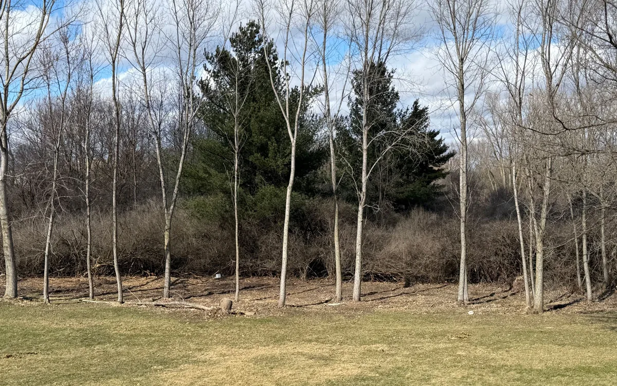 Specialty Clearing in Whitewater, WI