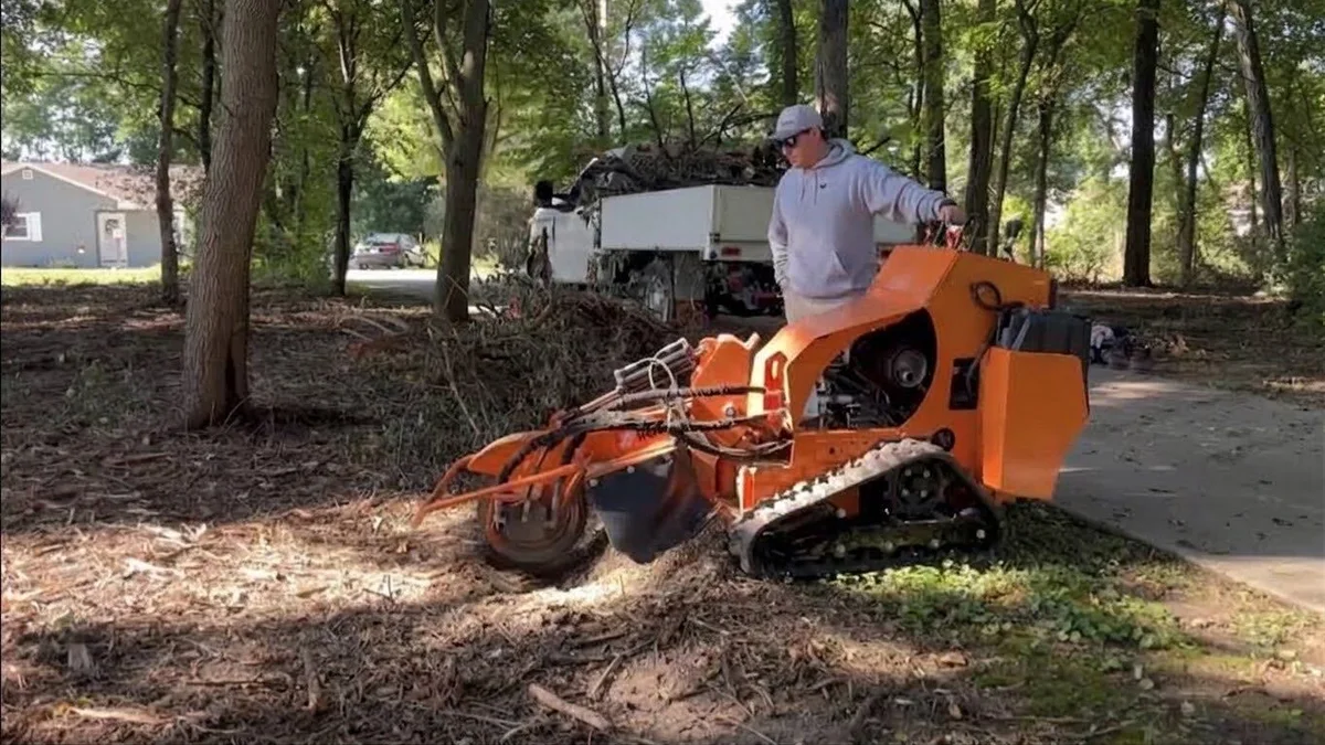 Stump Grinding & Removal in Whitewater, WI