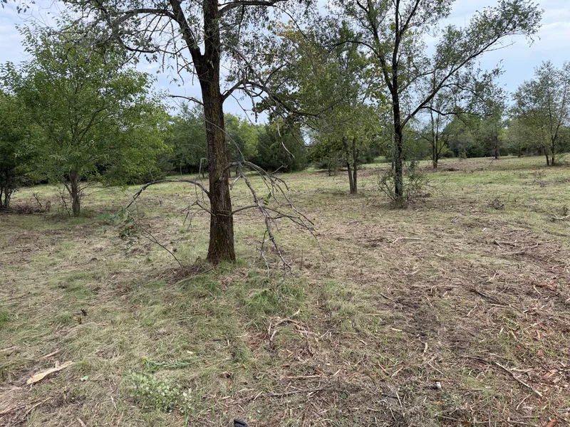Brush Clearing in Whitewater, WI