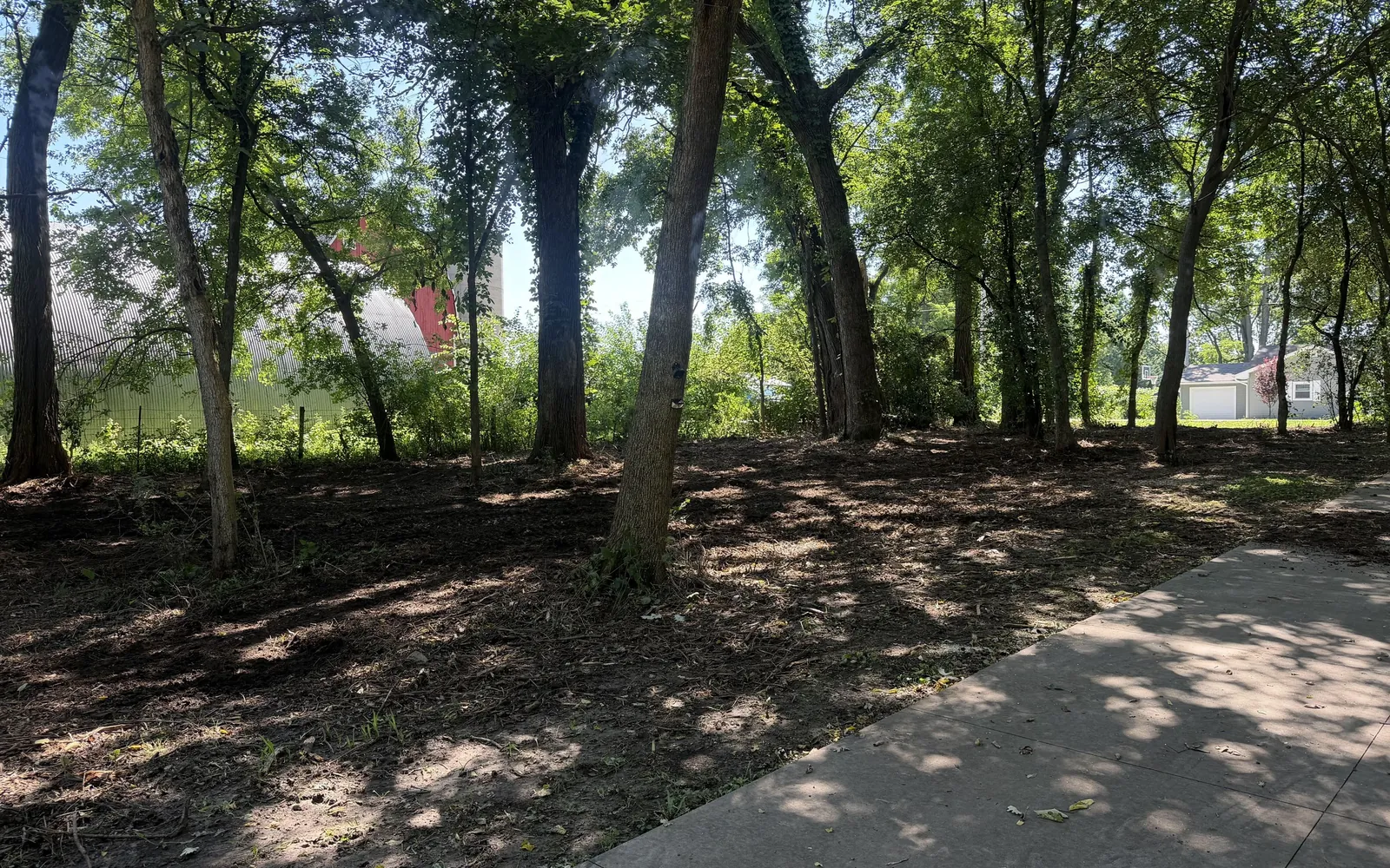 Underbrushing in Whitewater, WI